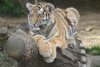 DSC07219a.jpg