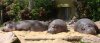 DSC07283a.jpg