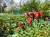 gartenCIMG3710.jpg