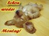 Montag.jpg