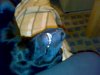 15012009231.jpg