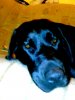 26102008143.jpg