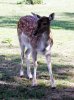 DSCN0614.jpg