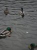 SDC14331.jpg