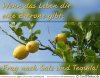 0612_05267_frag_nach_salz.jpg
