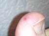 DSC_0222.jpg