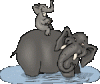 clipart_elefant001.gif