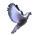 vogel37_7kb.gif