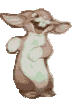 rabbits_001.gif