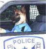 policedog.gif