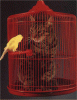 katzekÃ¤fig.gif