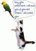 catbird.gif