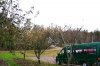 gartenvorn.jpg