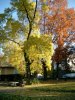 herbstschmuck.jpg