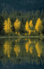 landschaft2.gif