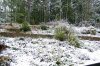 bergschneefall.jpg