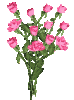 rosen-2.gif