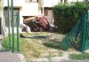 die_frau_ist_zu_hause.jpg