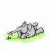 efant36.gif