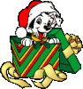 dalma11.gif