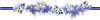blume06.gif