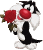 sorry_0001.gif