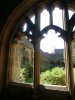 New College cloister.jpg New College cloister.jpg