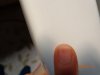 DSC00823.jpg