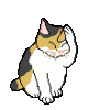 katze beim putzen.gif katze beim putzen.gif