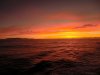 sonnenaufgangCIMG3223.jpg