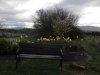 DSC02588.jpg