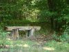 1 DSC08720.jpg
