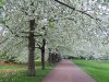100_9091a.jpg