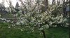 FrÃ¼hling2014.jpg