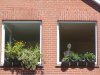 Beobachter am Fenster.JPG