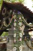 DSCF0921.JPG