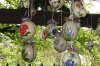 DSCF0915.JPG