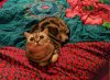 IMG_9053512029745.jpeg