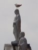 DSC06161a.jpg