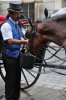 DSC_0567.jpg