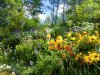 gartenCIMG6748.jpg