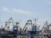 DSC06144a.jpg