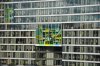 DSC_0464a.jpg
