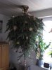 Weihnachten 2013 101.jpg
