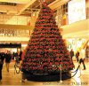 weihnachtsbaum.jpg weihnachtsbaum.jpg
