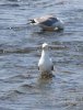 21 DSC03824a.jpg