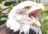 7 DSCN3024ax.jpg
