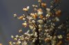 IMG_4526 - Kopie.jpg