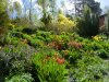 gartenCIMG7483.jpg