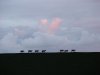 DSC00928web.jpg